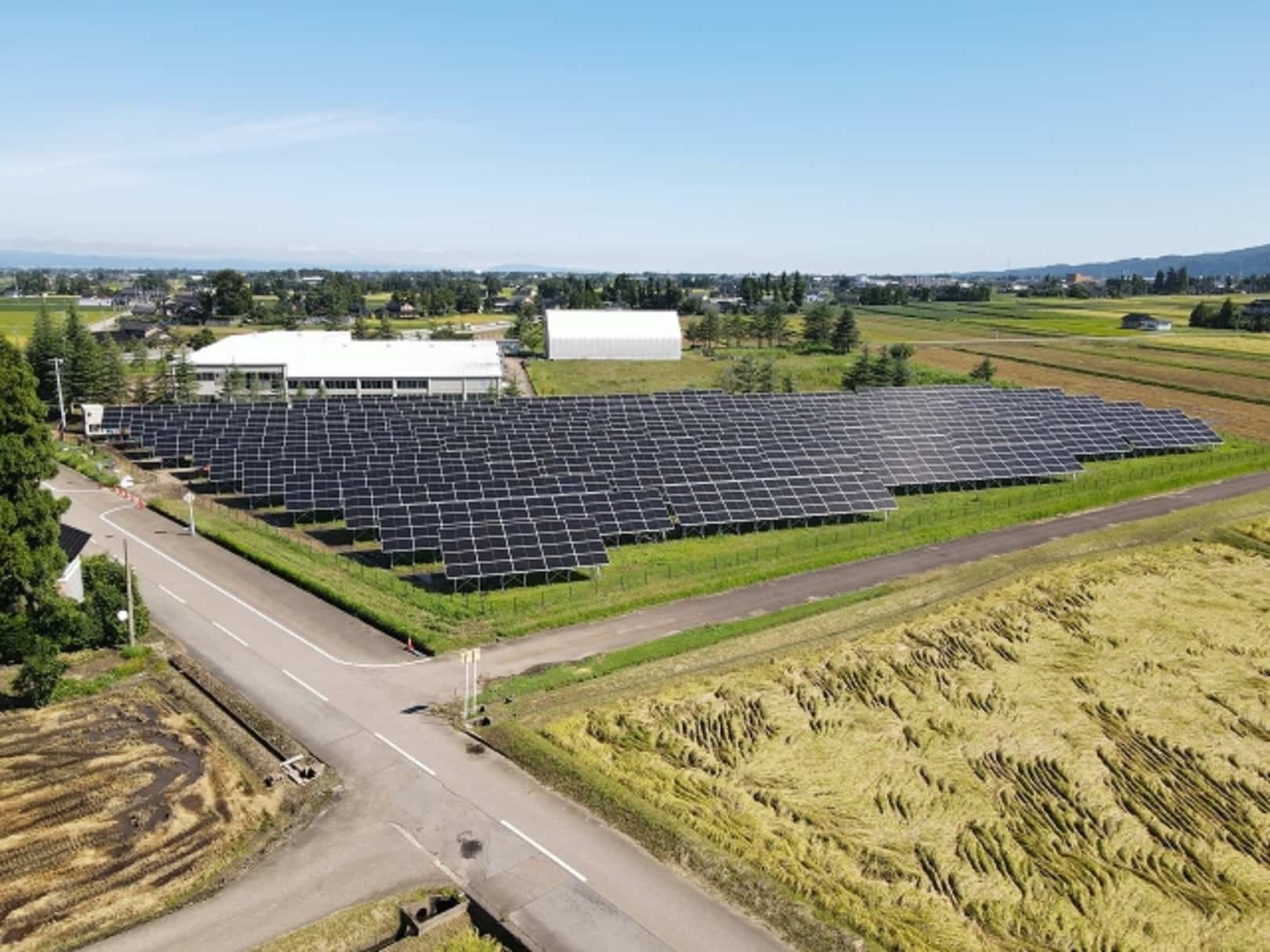Solar Energy Farm Solar Farm Construction