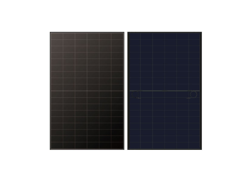 Talesun BC Series Solar PV Module